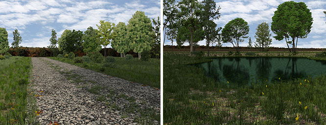 Bring Landscapes to Life Like Never Before
